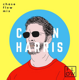 Calvin Harris Mix Snippet