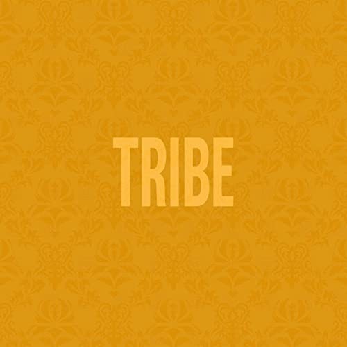 Jidenna Tribe Remix Snippet